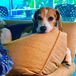 Meet your Posher, Patricia